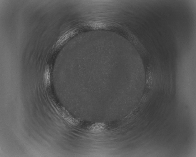 X0000085050124200703261148