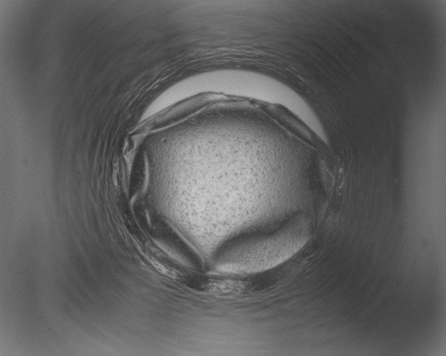 X0000085050125200703261148