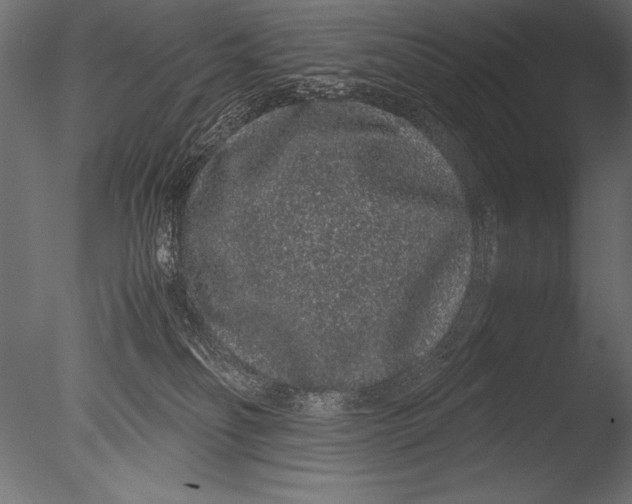 X0000085050134200703261148