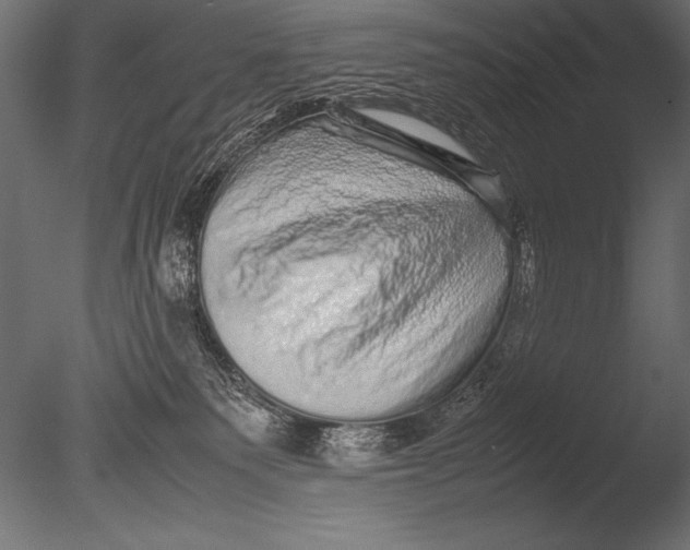 X0000085050135200703261148