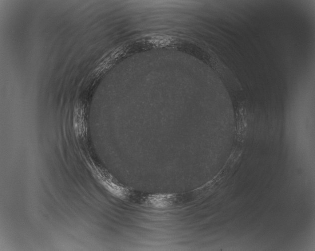 X0000085050136200703261148