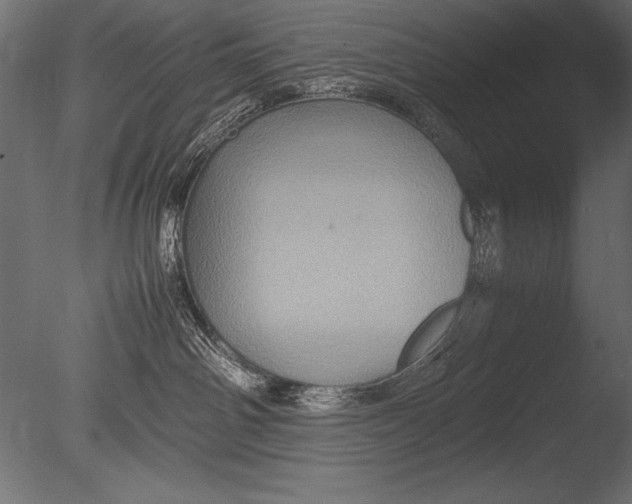 X0000085050142200703261148