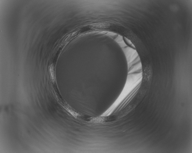 X0000085050143200703261148