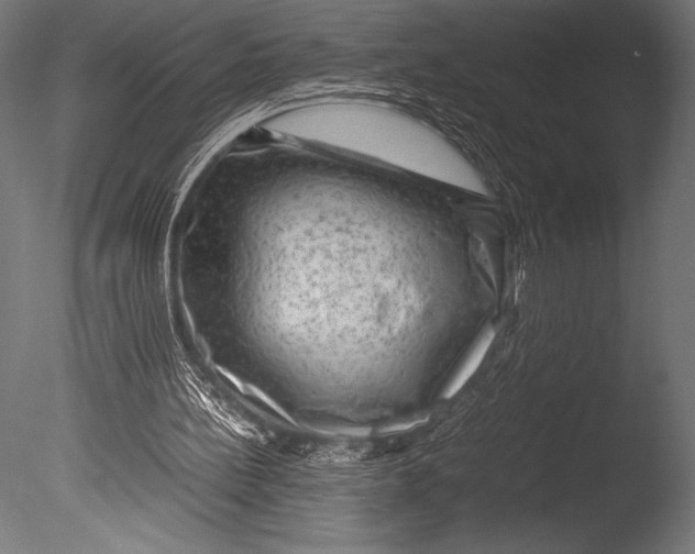 X0000085050148200703261147