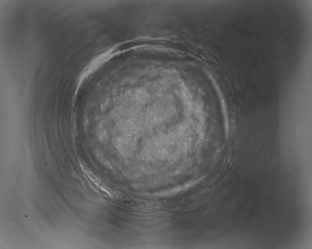 X0000085050149200703261147