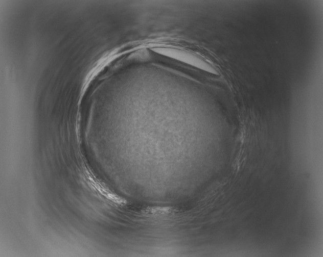 X0000085050152200703261147