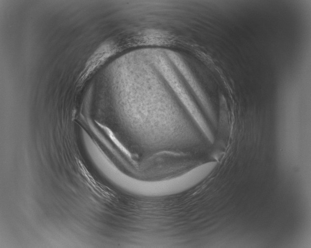 X0000085050154200703261147