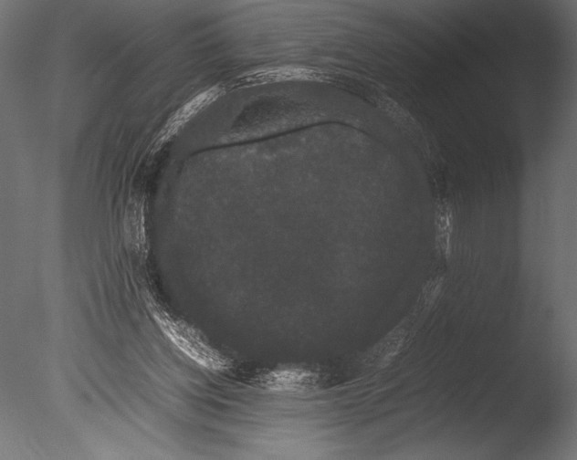 X0000085050158200703261147