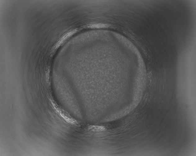 X0000085050159200703261147
