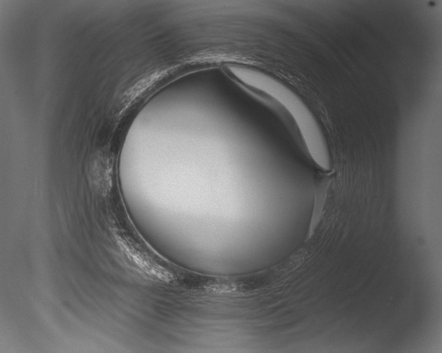 X0000085050160200703261147