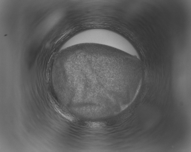 X0000085050165200703261147
