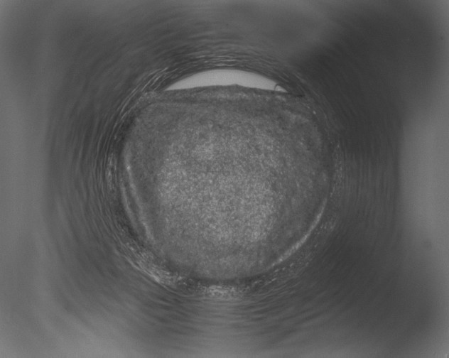 X0000085050169200703261147