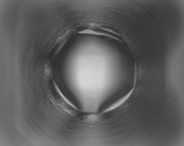 X0000085050176200703261147