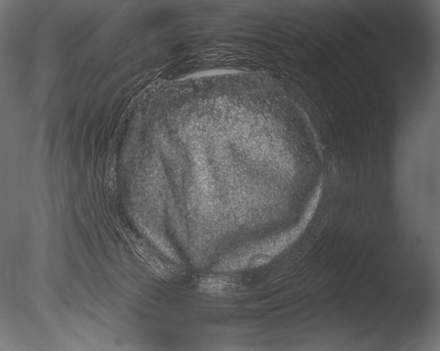 X0000085050177200703261147