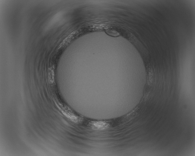 X0000085050183200703261147