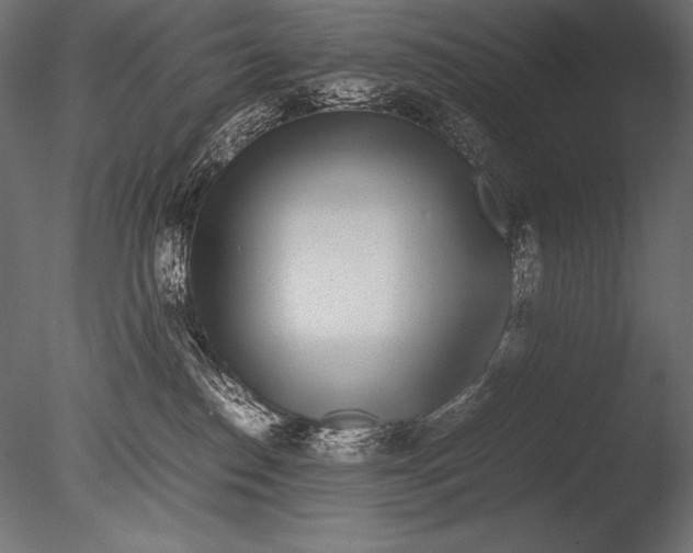 X0000085050186200703261147