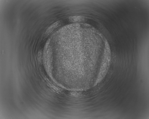 X0000085050189200703261148