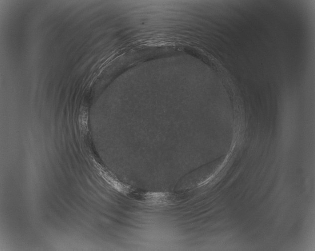 X0000085050192200703261148