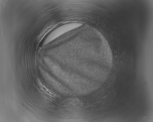 X0000085050194200703261147