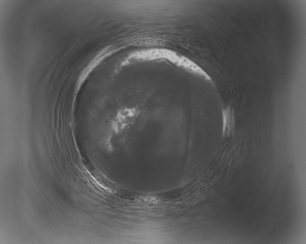 X0000085050195200703261147