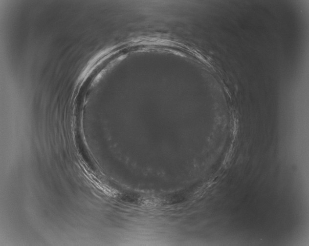 X0000085050199200703261147