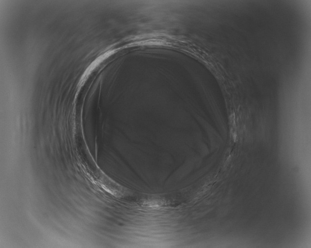 X0000085050200200703261147