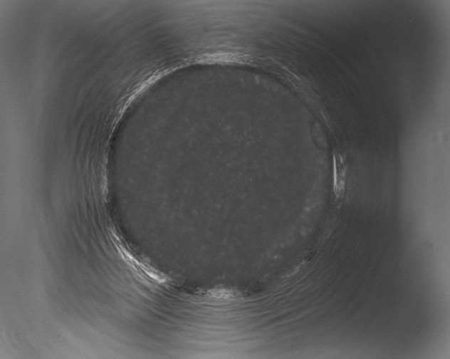 X0000085050204200703261147