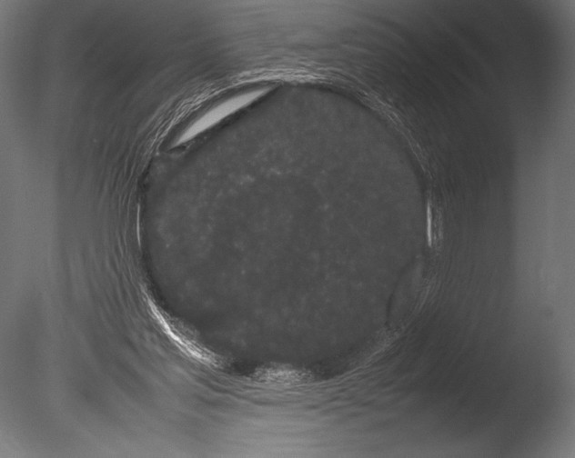 X0000085050205200703261147