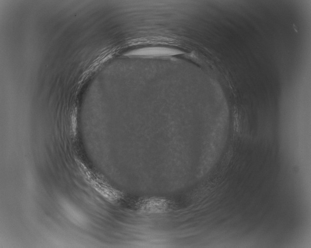 X0000085050206200703261147