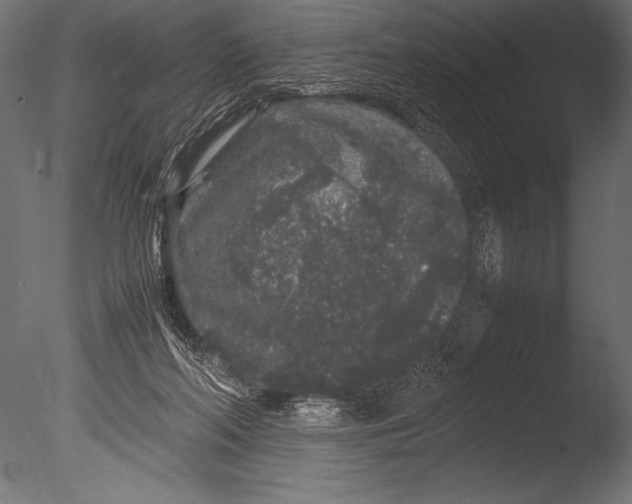 X0000085050214200703261146