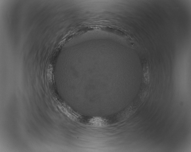 X0000085050231200703261146