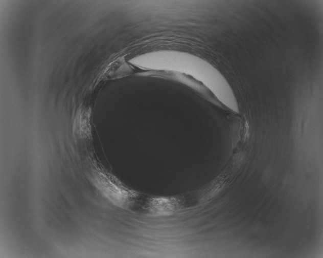 X0000085050239200703261146
