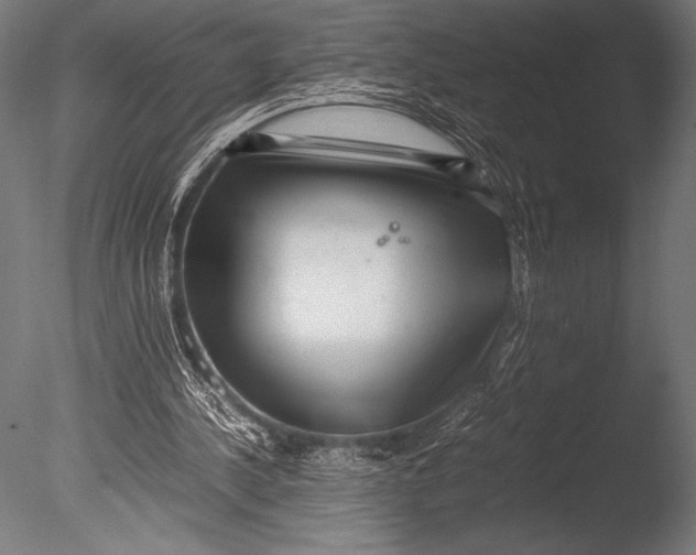 X0000085050244200703261145