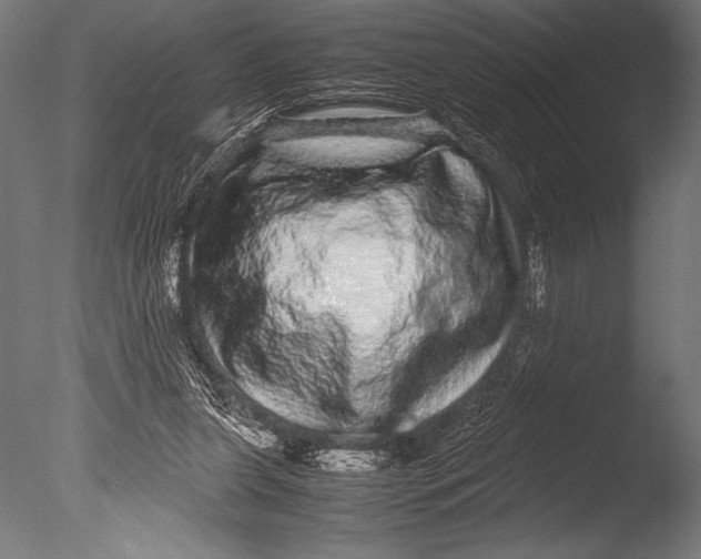 X0000085050255200703261145