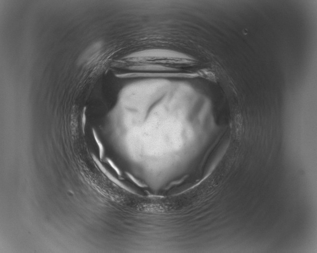 X0000085050259200703261145