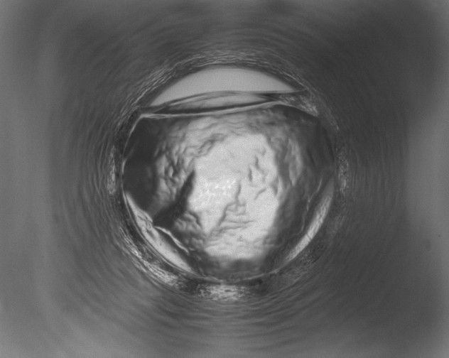 X0000085050261200703261145