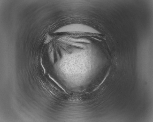 X0000085050266200703261146