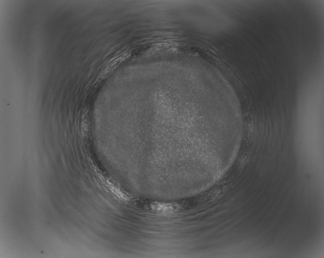 X0000085050277200703261146
