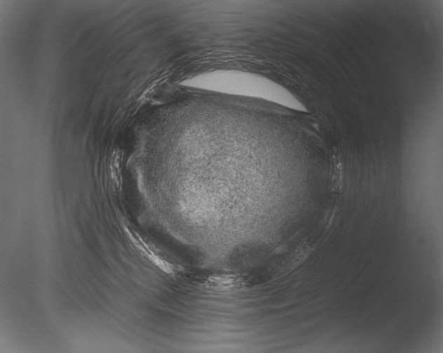 X0000085050280200703261146