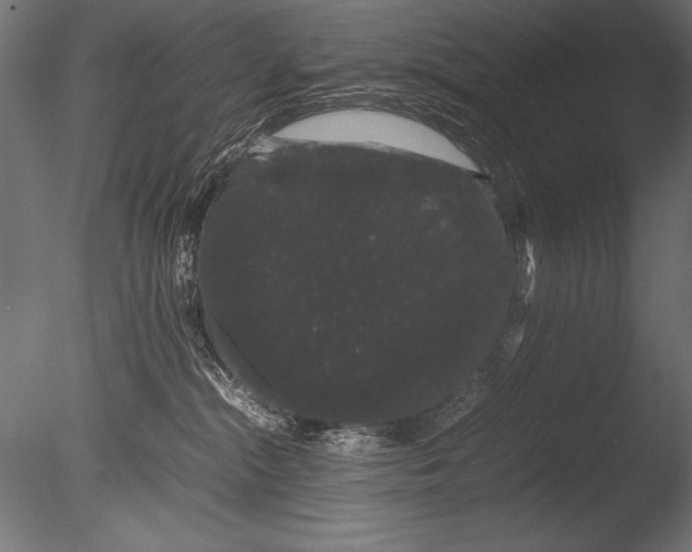X0000085050284200703261146