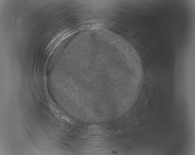 X0000085050290200703261145