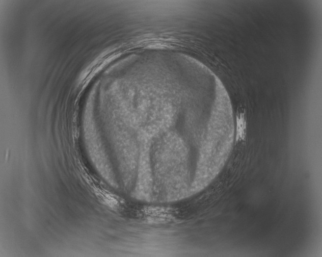 X0000085050291200703261145
