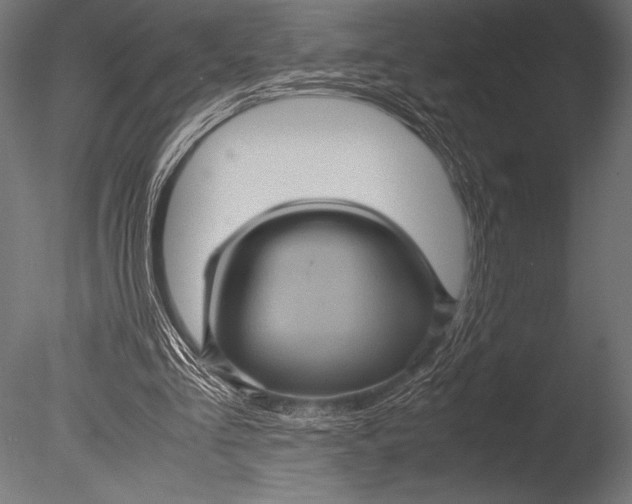 X0000085050293200703261145