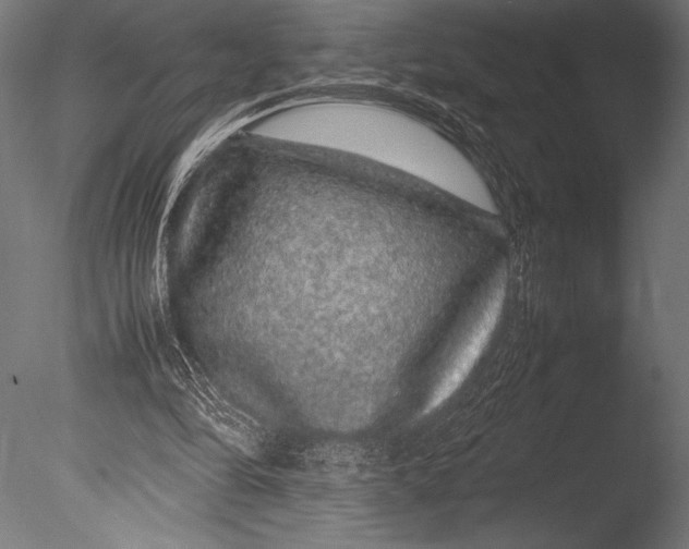 X0000085050294200703261145