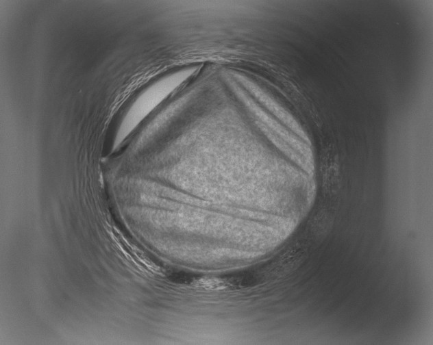 X0000085050299200703261145