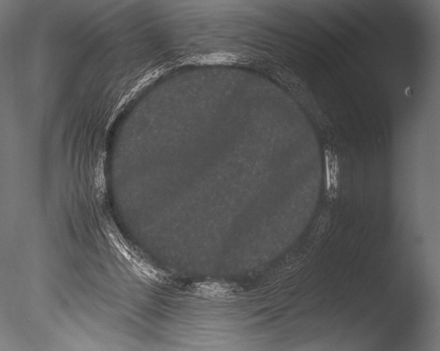 X0000085050300200703261145