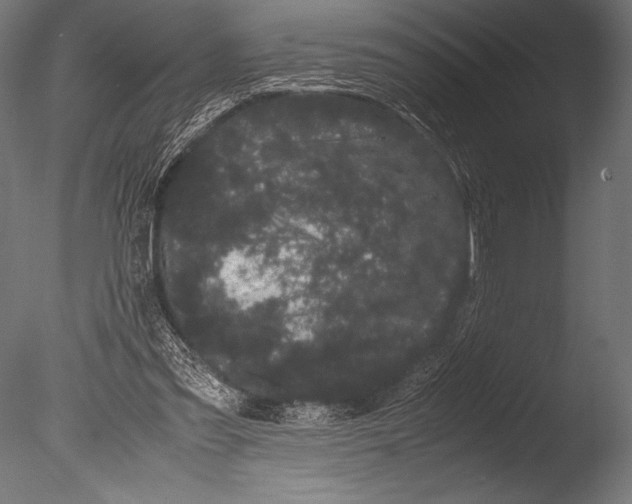 X0000085050301200703261145