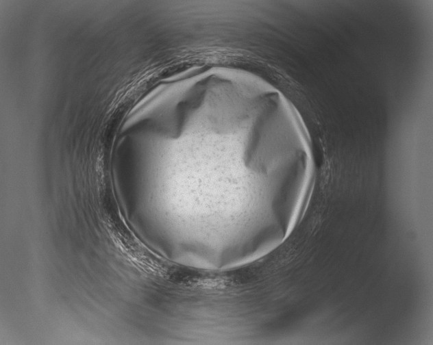 X0000085050306200703261145