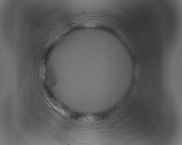 X0000085050307200703261145