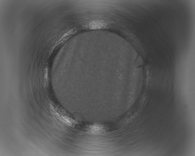 X0000085050308200703261145